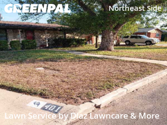 Yard Cutting nearby Schertz, TX, 