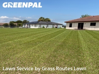 Lawn Mow nearby Ocala, FL, 