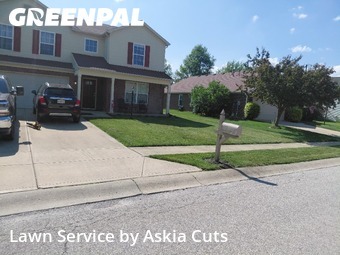 Lawn mowed in Indianapolis, 46239