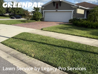 Lawn Cut nearby Land O' Lakes, FL, 