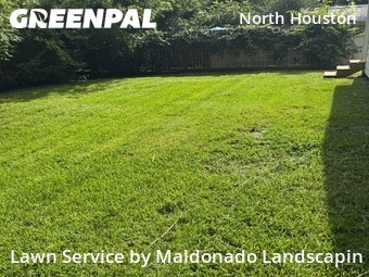 Lawn Care Service nearby Houston, TX, 