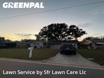 Lawn Servicein Clearwater,33761,Yard Mowing by Sfr Lawn Care Llc, work completed in Feb , 2026