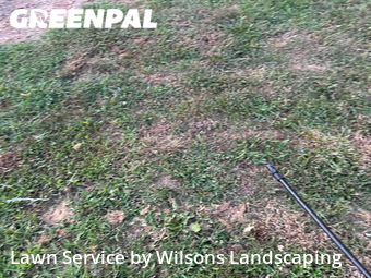 Lawn Cutting nearby Memphis, TN, 