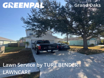 Lawn Cut nearby Land O' Lakes, FL, 