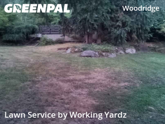 Yard Mowingin Bellevue,98005,Yard Cutting by Working Yardz, work completed in Nov , 2025