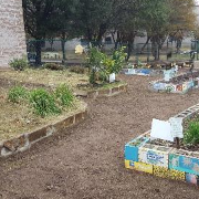 local-lawn-maintenance-contractors-in-Wells Branch-TX