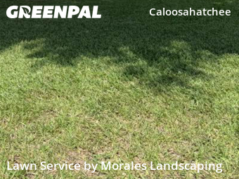 Lawn Cutting nearby Cape Coral, FL, 