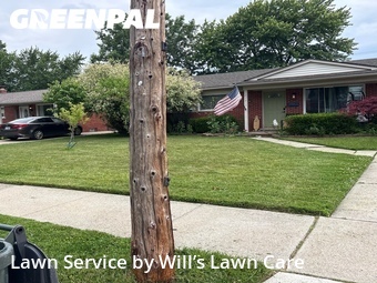 Yard Cutting nearby St. Clair Shores, MI, 