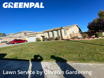 Lawn Care nearby Lancaster, CA, 