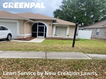 Grass Cutting nearby Valrico, FL, 