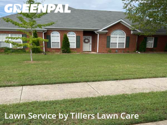 Grass Cutting nearby Huntsville, AL, 