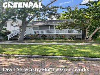 Grass Cutting nearby St. Petersburg, FL, 