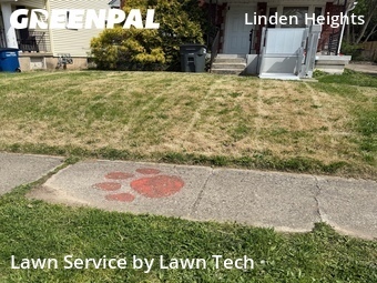 Yard Cutting nearby Dayton, OH, 