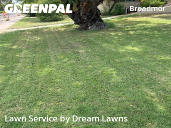 Garden Trimming in Tempe, 85282, Yard Upkeep by Dream Lawns, work completed in Oct , 2025