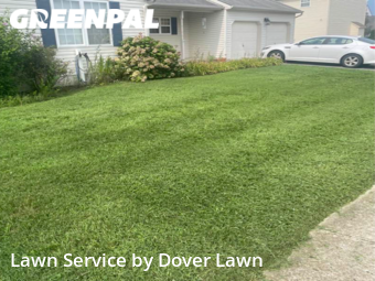 Lawn Care Service nearby Clayton, DE, 