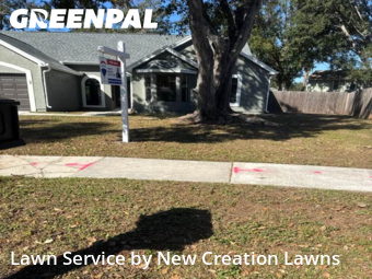 Weed Trimming in Brandon, 33511, Grass Cutting by New Creation Lawns, work completed in Dec , 2025