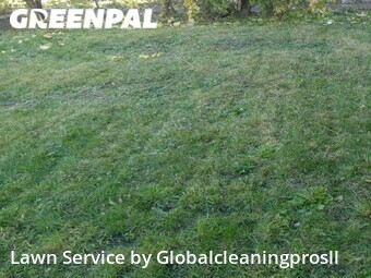 Yard Cutting nearby Oak Lawn, IL, 