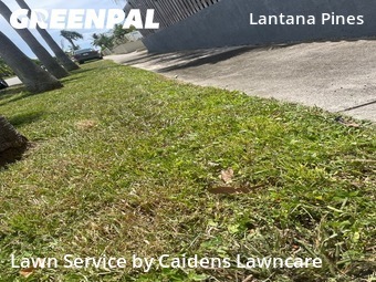 Yard Mowing nearby Lantana, FL, 