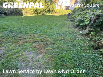 Grass Cut nearby Hartford, CT, 