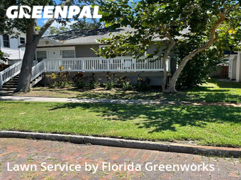 Grass Cut nearby St. Petersburg, FL, 