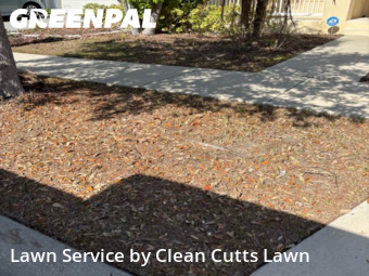 Lawn mowed in Apollo Beach, 33572