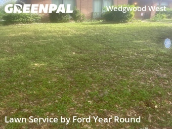 Lawn Care Service nearby Fort Worth, TX, 