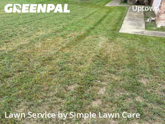 Yard Mowing nearby San Antonio, TX, 