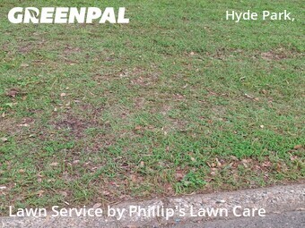 Yard Cutting nearby Shreveport, LA, 