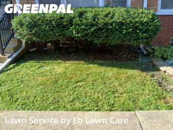 Lawn Cut nearby Bellwood, IL, 