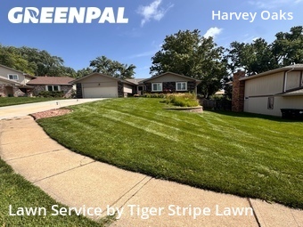 Lawn Cut nearby Omaha, NE, 