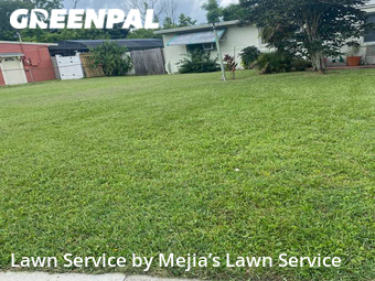 Yard Cutting nearby Azalea Park, FL, 