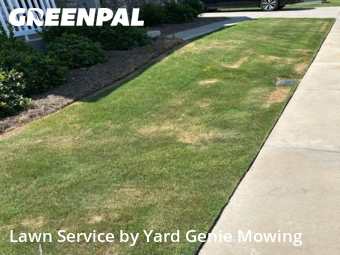 Grass Cut nearby Fort Mill, NC, 