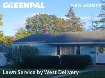 Grass Care in Albany, 12208, Yard Care by West Delivery, work completed in Nov , 2025