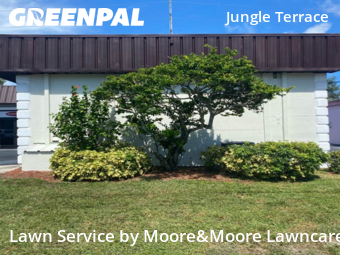 Lawn Cut nearby St. Petersburg, FL, 