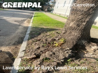 Lawn Cut nearby New Orleans, LA, 