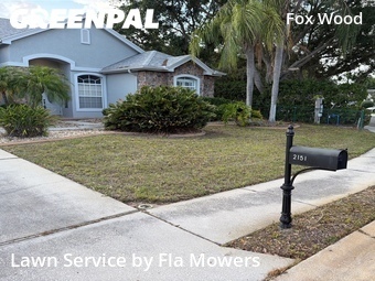 Lawn Care nearby Trinity, FL, 