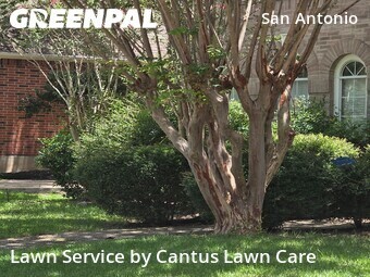 Yard Cutting nearby San Antonio, TX, 