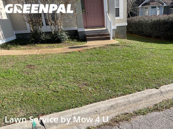 Grass Cut nearby Tallahassee, FL, 