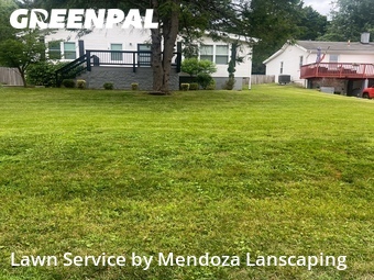 Grass Cut nearby Silver Spring, MD, 