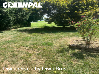 Lawn Mow nearby Louisville, KY, 