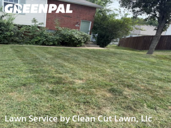 Grass Cutting nearby Blue Springs, MO, 