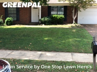 Grass Cutting nearby Memphis, TN, 