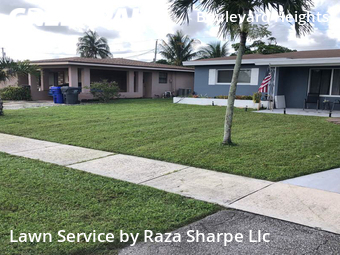 Lawn Mow nearby Hollywood, FL, 