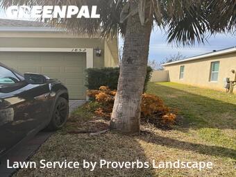 Lawn Cut nearby Saint Cloud, FL, 