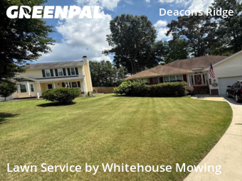 Yard Cutting nearby Wake Forest, NC, 