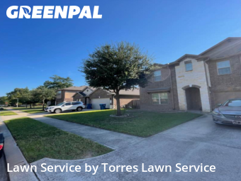 Yard Cutting nearby Conroe, TX, 