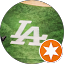 Hacienda Lawnmower Review 2