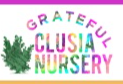Best Nursery in Coral Springs Florida 3