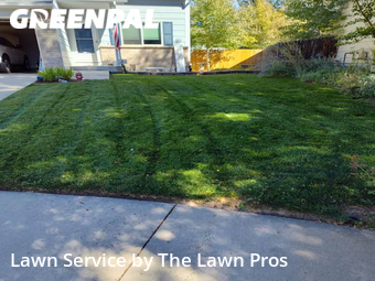 Yard Cutting nearby Thornton, CO, 