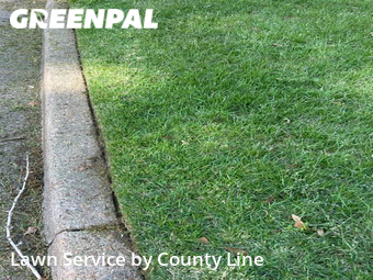 Lawn Care nearby Bartlett, TN, 